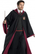 Harry Potter Gryffindor